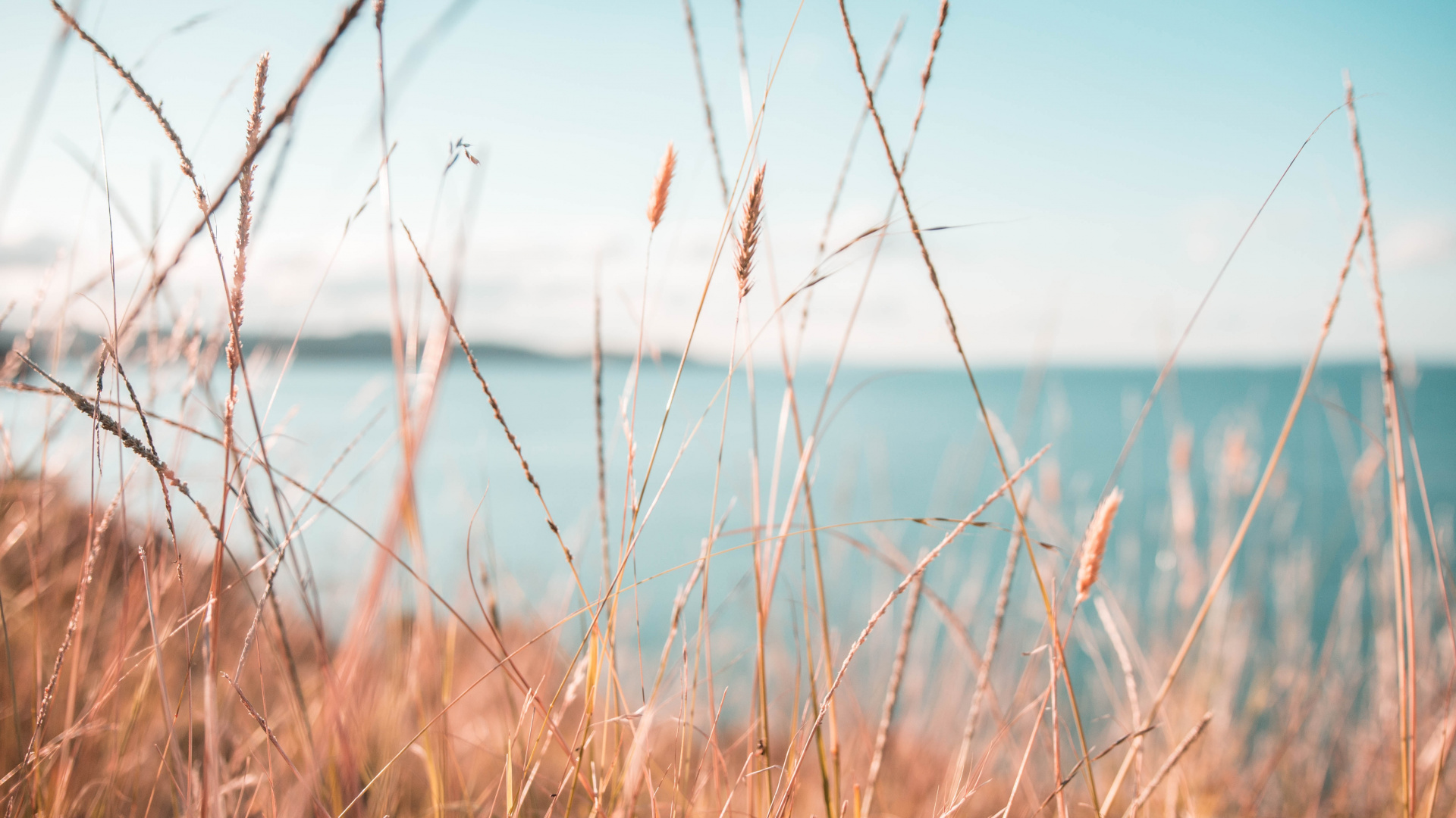 Обои вода, природа, природный ландшафт, синий, окружающая среда в разрешении 1920x1080