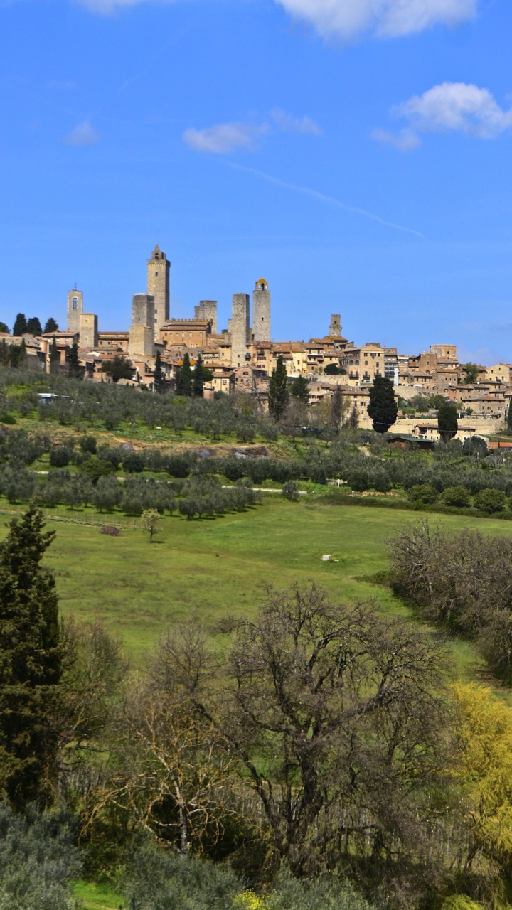Обои Флоренция, Санджиминьяно, сельский район, деревня, вино в разрешении 720x1280
