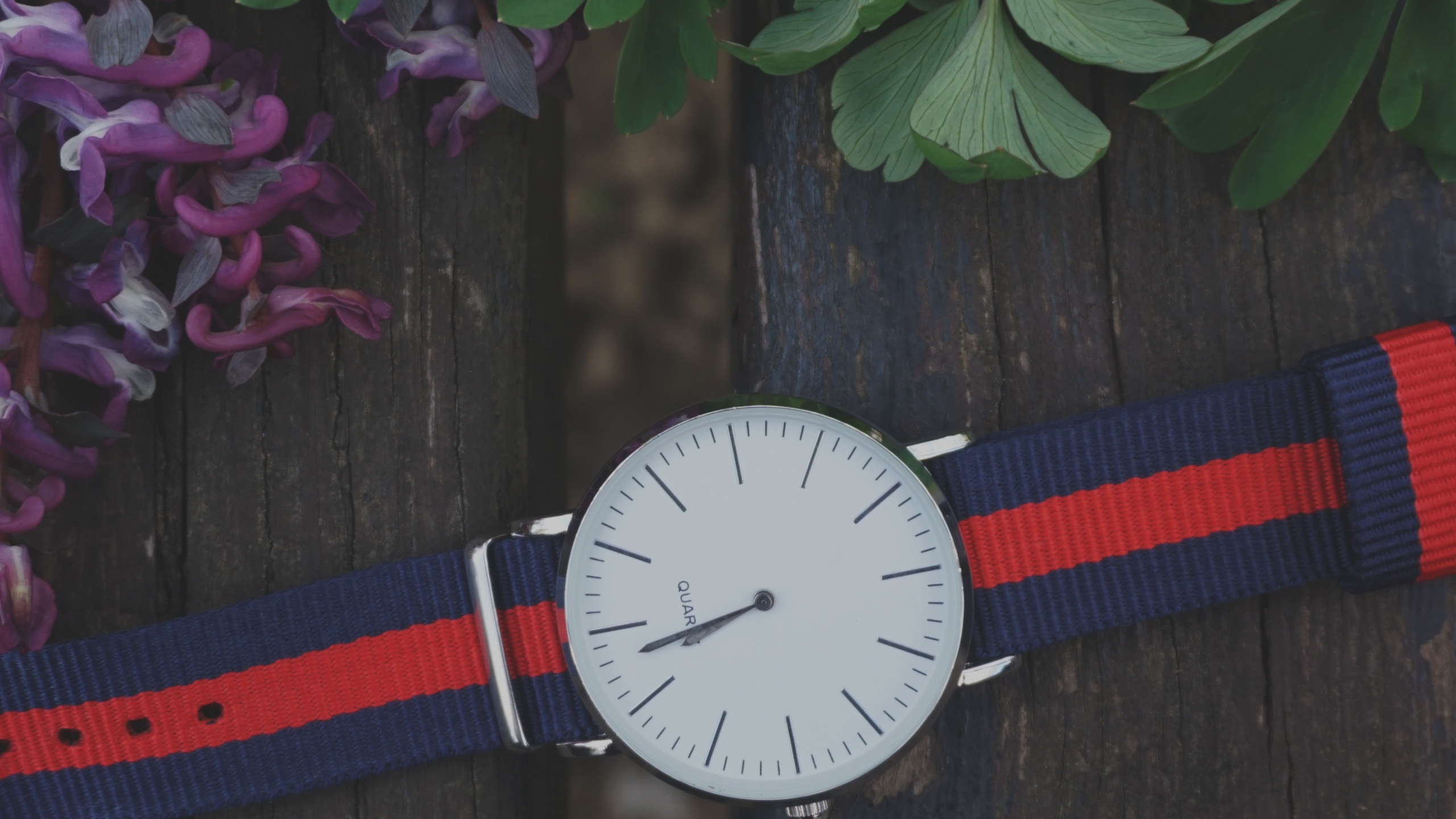 Обои часы, аналоговые часы, ювелирные изделия, модный аксессуар, часы аксессуар в разрешении 2560x1440