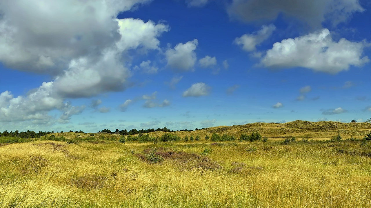 Обои прерия, равнина, облако, облака, степ в разрешении 1280x720