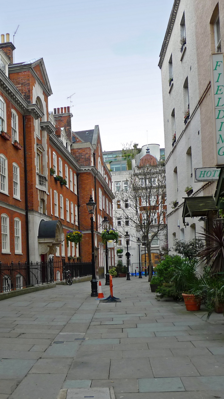 Обои соседство, городок, улица, дорога, город в разрешении 750x1334