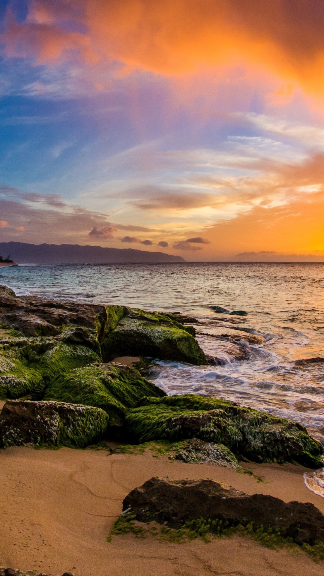 Обои пляж, бухта акул, ppkea Beach Park, побережье, море в разрешении 1080x1920