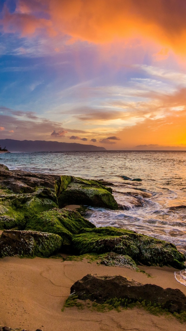 Обои пляж, бухта акул, ppkea Beach Park, побережье, море в разрешении 720x1280