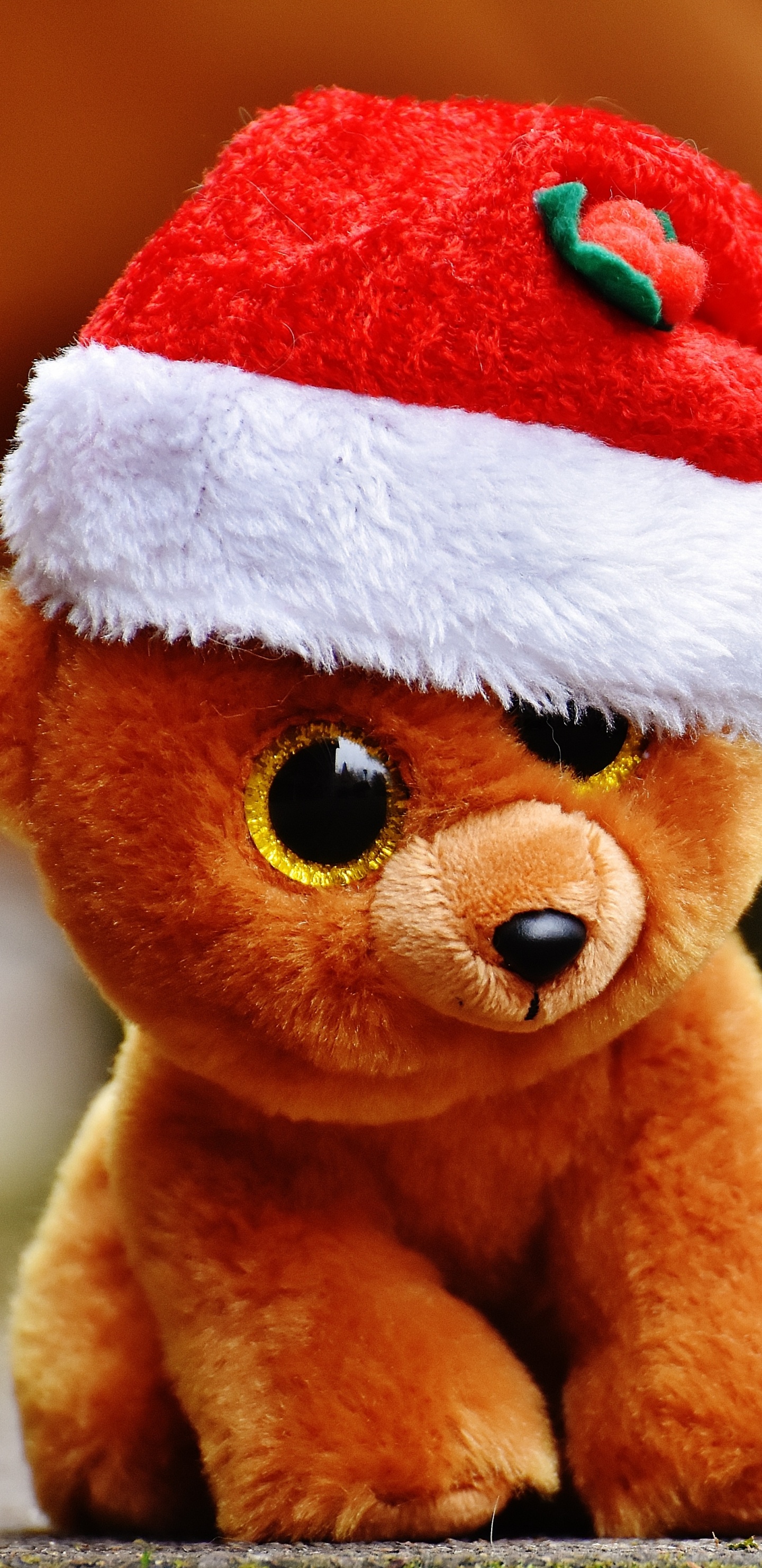 Обои плюшевый мишка, мягкая игрушка, Игрушка плюшевый медведь, Рождественский Мишка, игрушка в разрешении 1440x2960