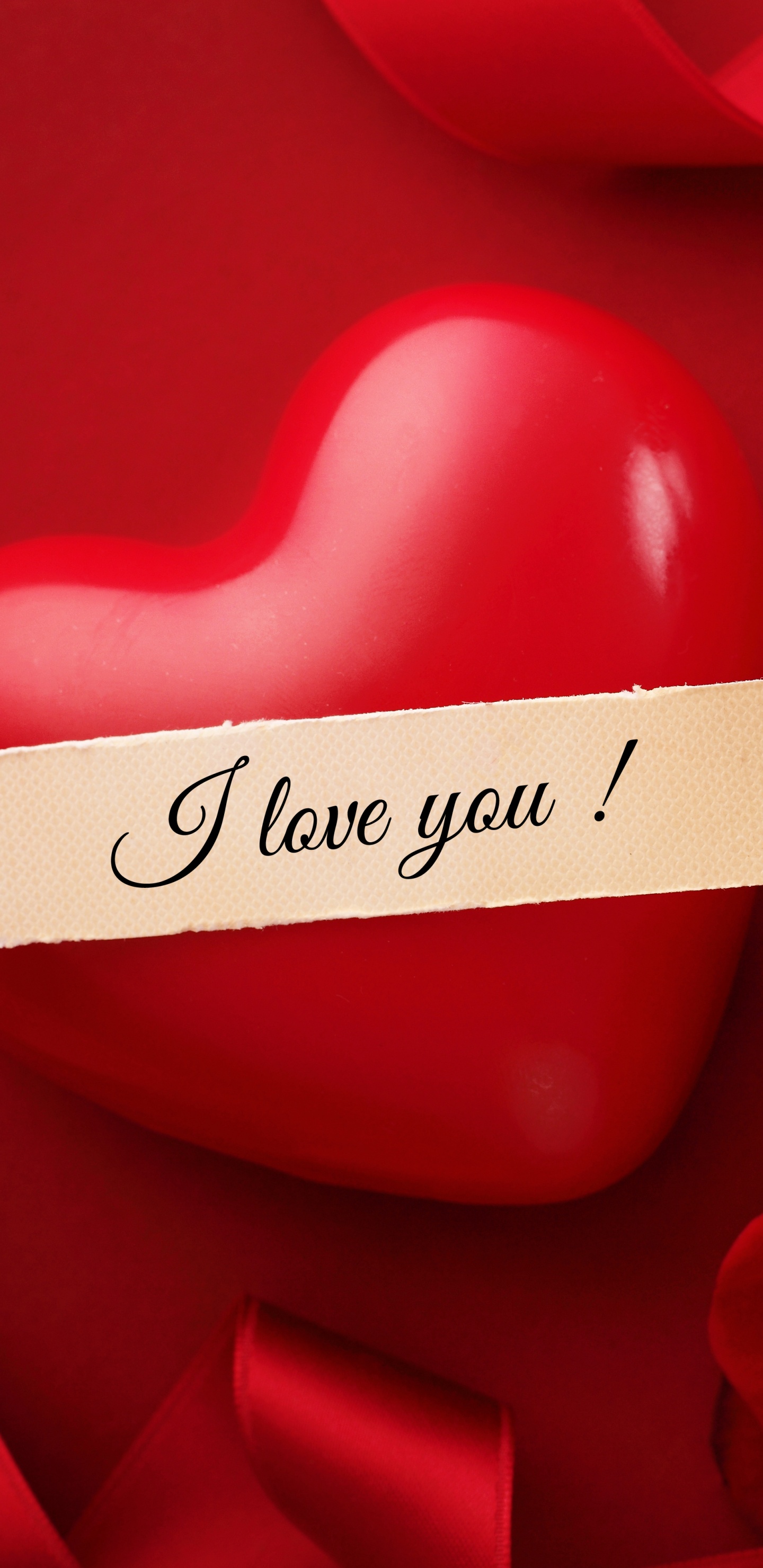 Обои День Святого Валентина, сердце, цветок, Роза, красный цвет в разрешении 1440x2960