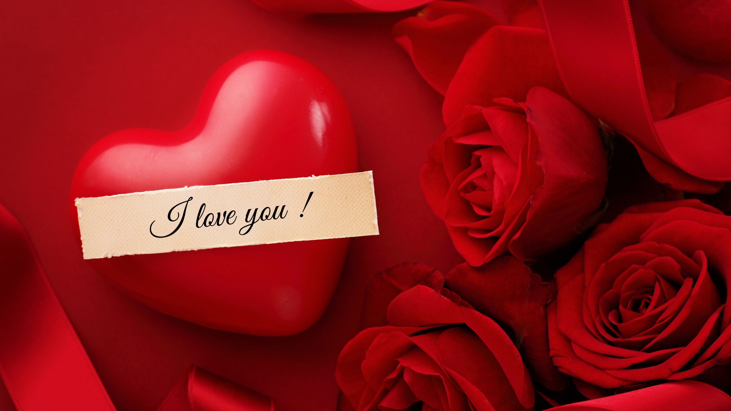 Обои День Святого Валентина, сердце, цветок, Роза, красный цвет в разрешении 2560x1440