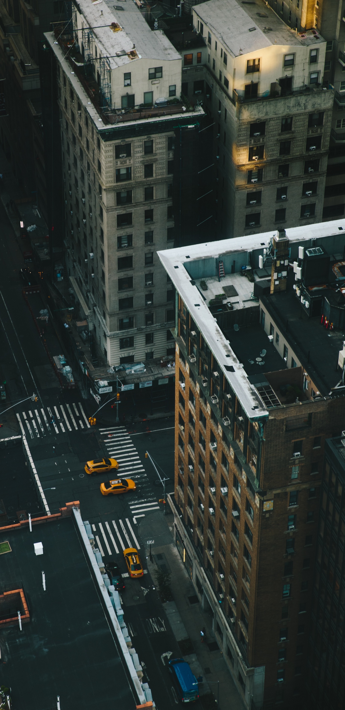 Обои метрополия, городской район, город, городской пейзаж, населенный пункт в разрешении 1440x2960