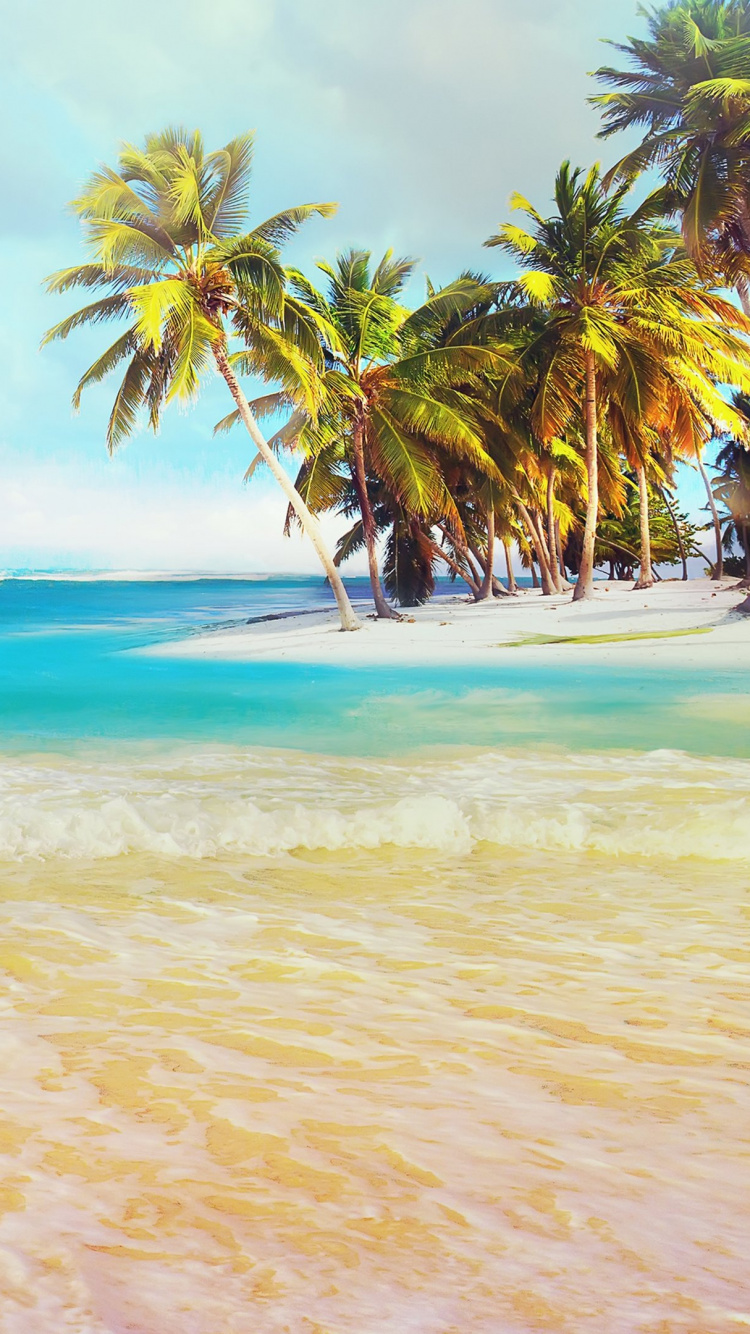 Обои тропическая зона, море, берег, океан, пляж в разрешении 750x1334