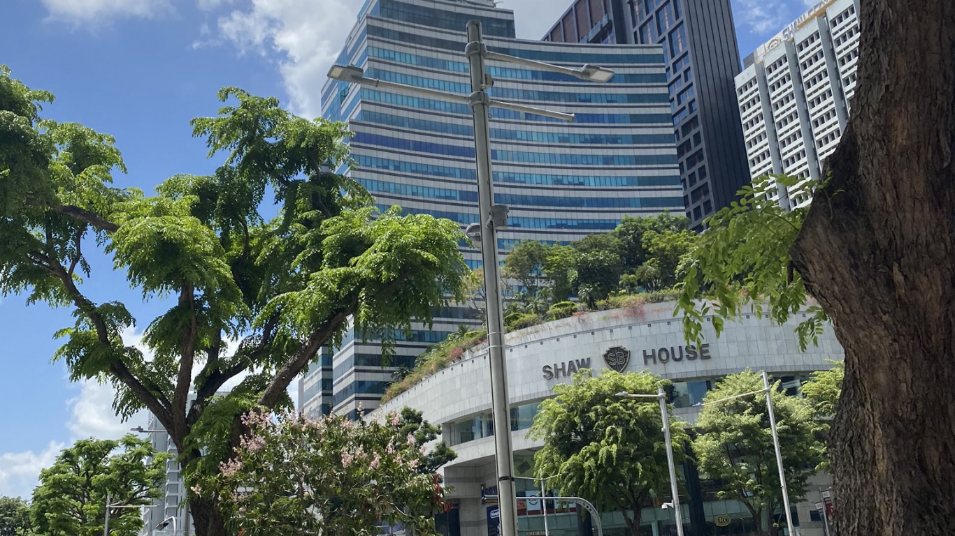 Обои кондоминиум, дерево, здание, древесные растения, башня в разрешении 1366x768