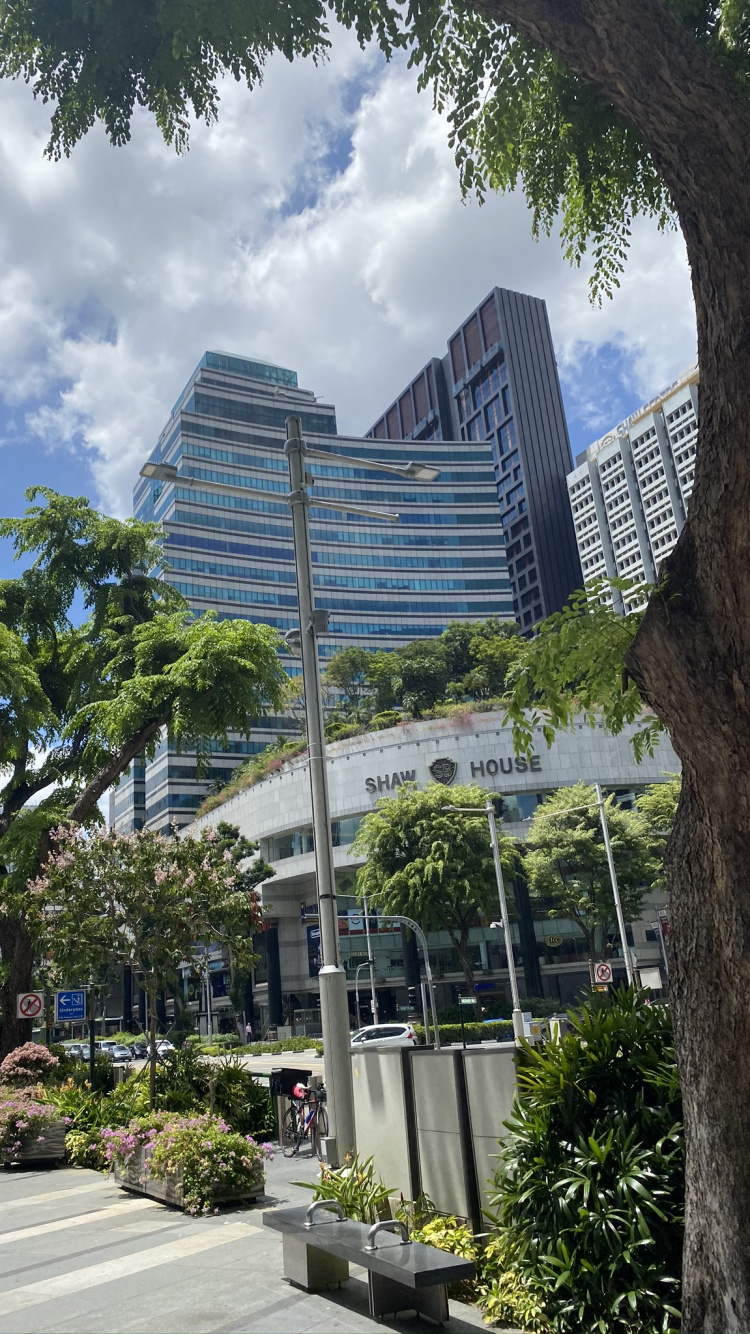 Обои кондоминиум, дерево, здание, древесные растения, башня в разрешении 750x1334