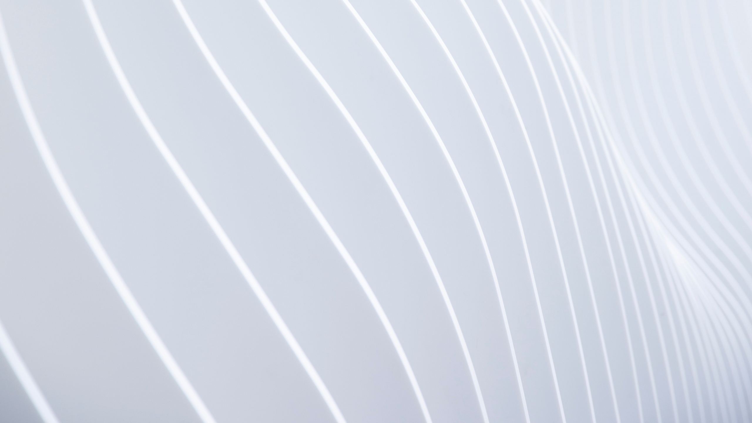 Обои белые, линия, узор, металл, жулик в разрешении 2560x1440