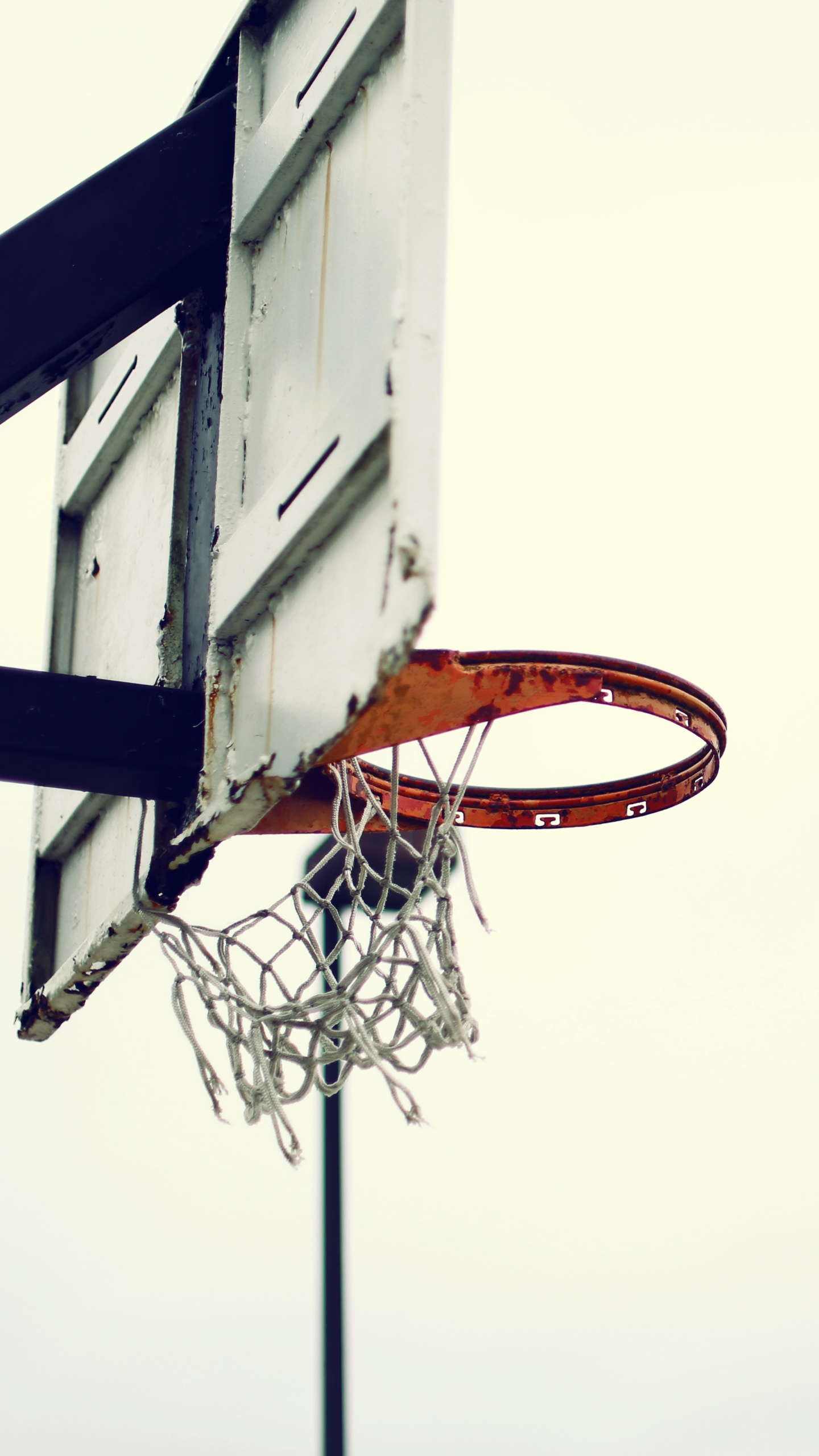 Обои Баскетбол, баскетбольная площадка, стритбол, командный вид спорта, баскетбольные движения в разрешении 1440x2560