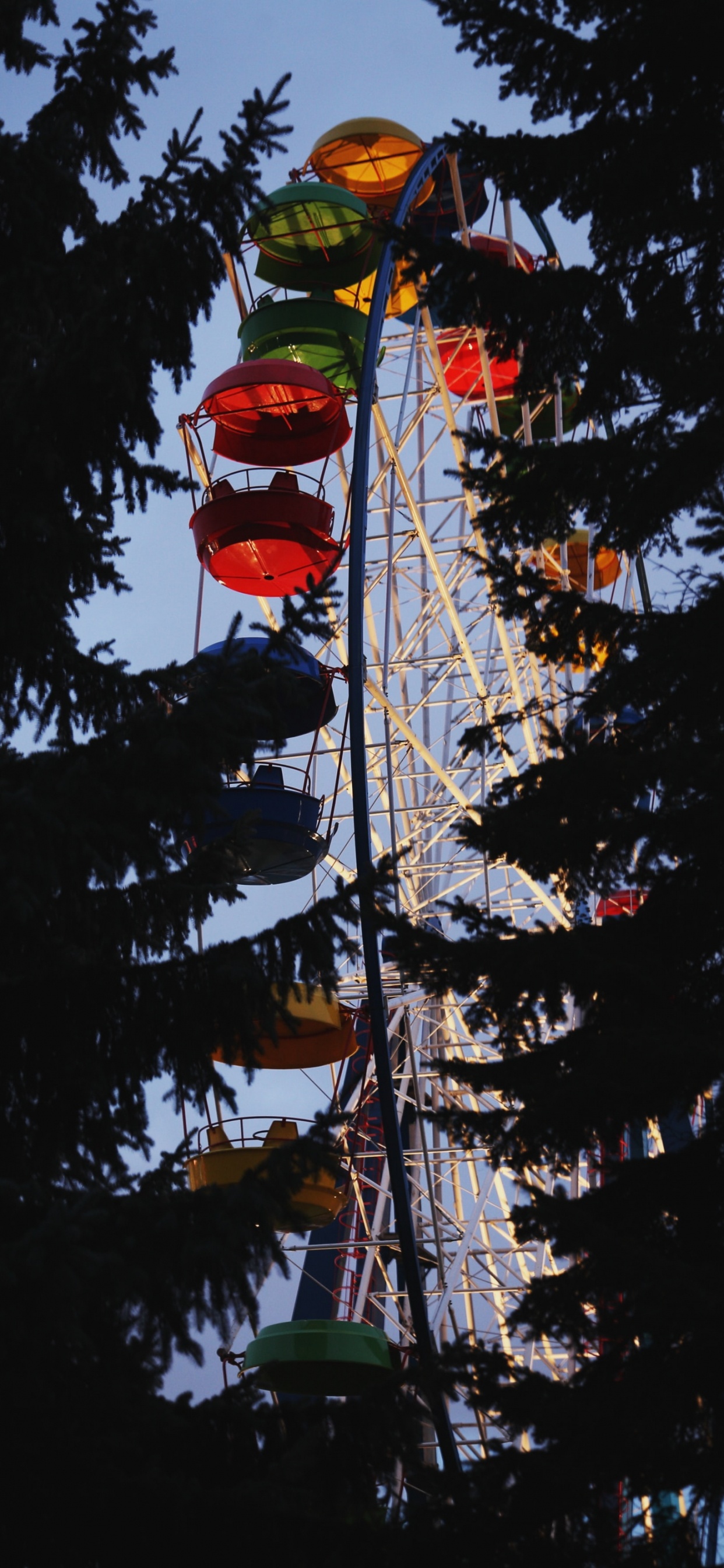 Обои дерево, растение, достопримечательность, небо, туризм в разрешении 1242x2688