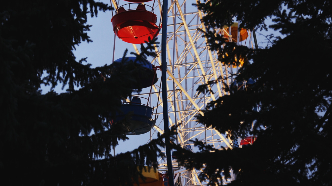 Обои дерево, растение, достопримечательность, небо, туризм в разрешении 1280x720