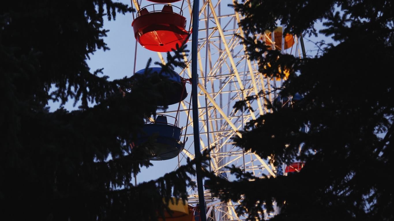 Обои дерево, растение, достопримечательность, небо, туризм в разрешении 1366x768