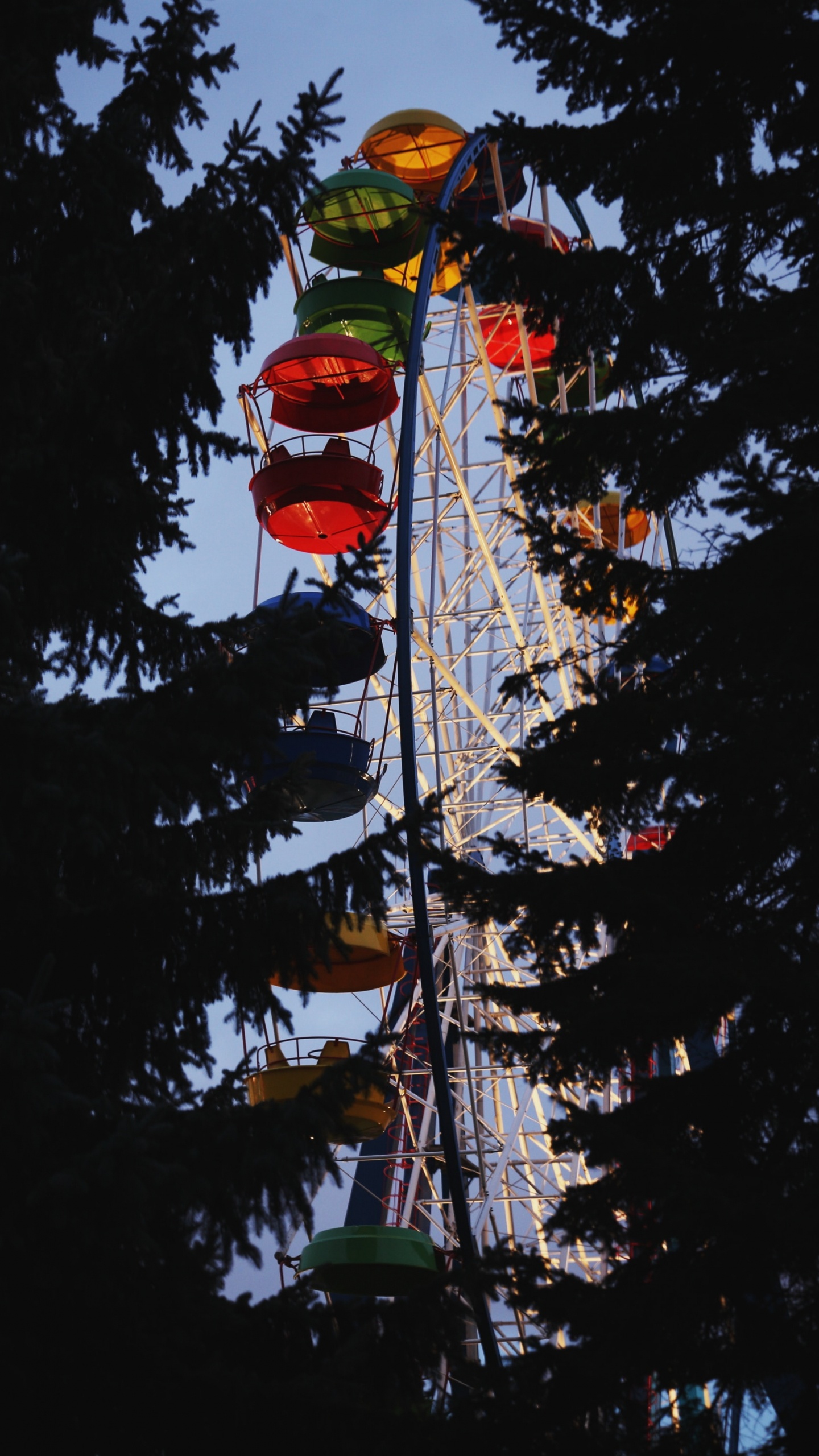 Обои дерево, растение, достопримечательность, небо, туризм в разрешении 1440x2560