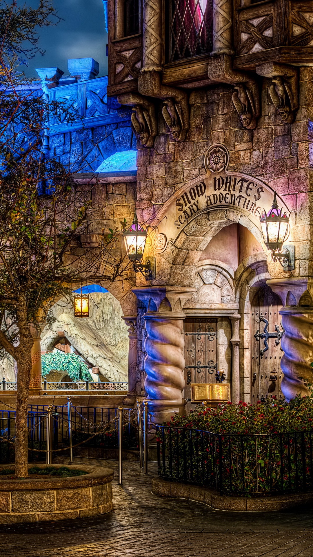 Обои парк развлечений, ночь, освещение, дерево, Диснейленд в разрешении 1080x1920