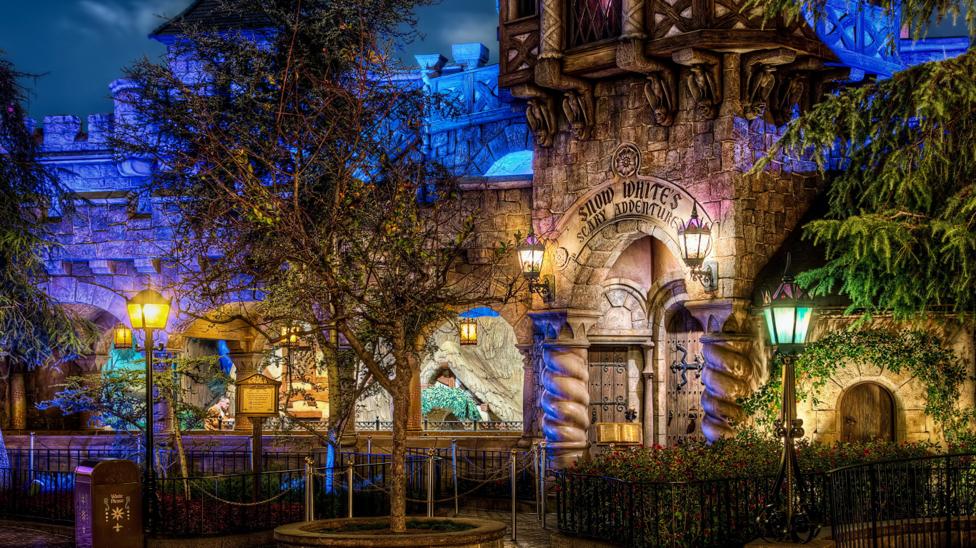 Обои парк развлечений, ночь, освещение, дерево, Диснейленд в разрешении 1366x768