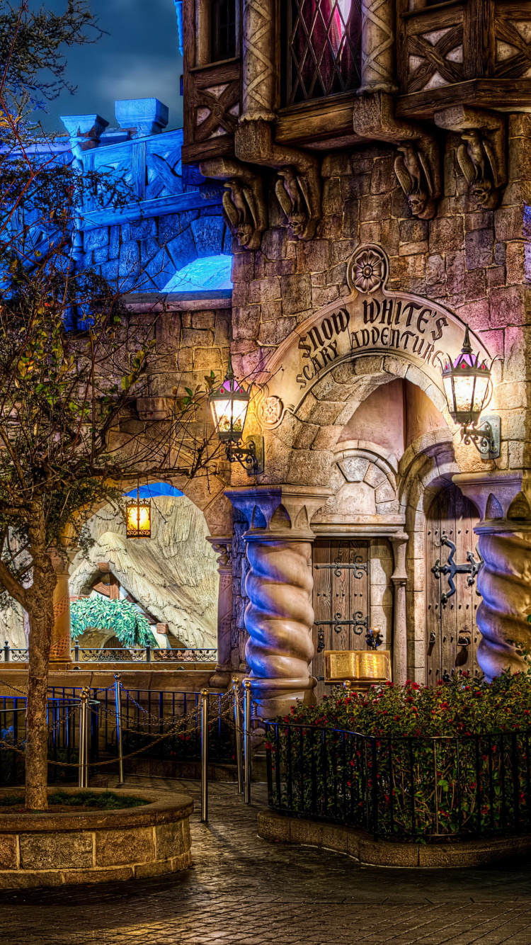 Обои парк развлечений, ночь, освещение, дерево, Диснейленд в разрешении 750x1334