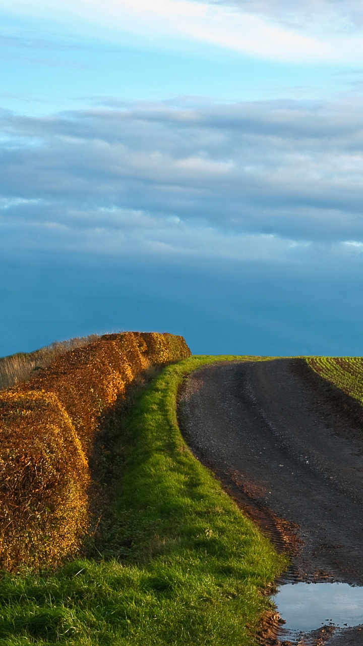 Обои природа, дорога, дерево, холм, сенокосное угодье в разрешении 720x1280