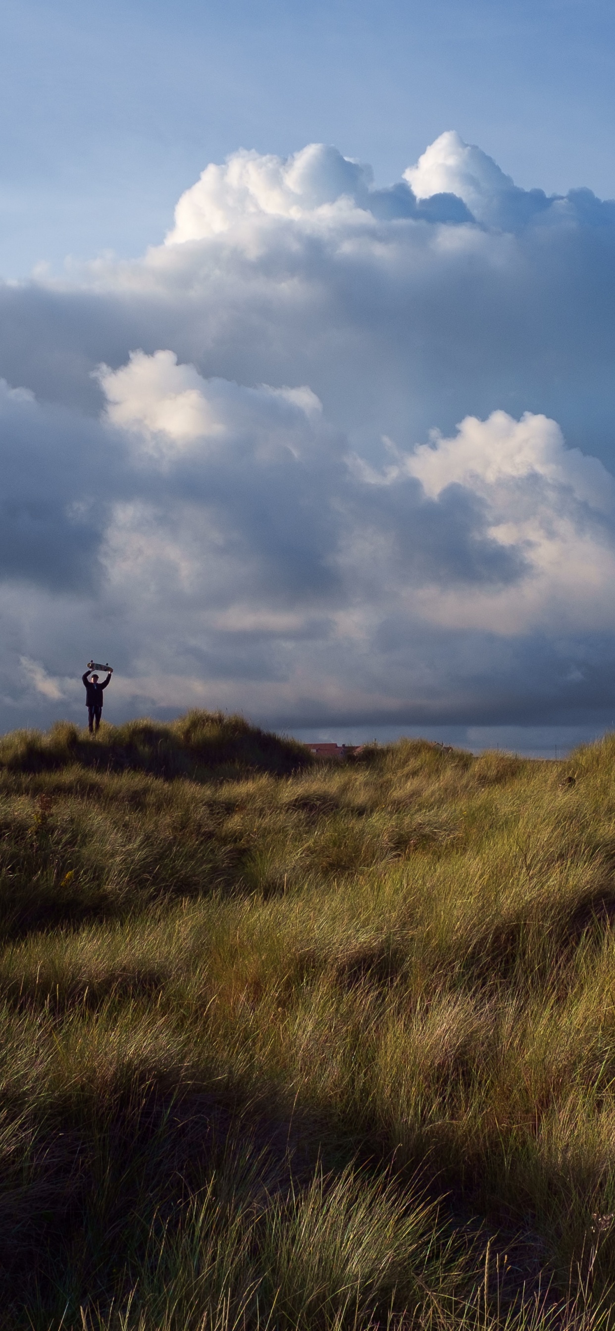 Обои равнина, сумрак, холм, степ, сенокосное угодье в разрешении 1242x2688