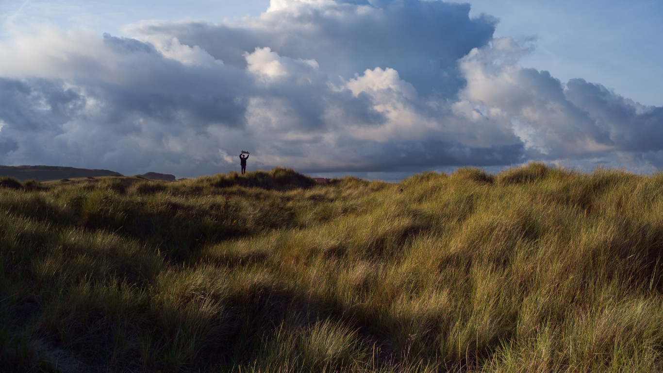 Обои равнина, сумрак, холм, степ, сенокосное угодье в разрешении 1366x768