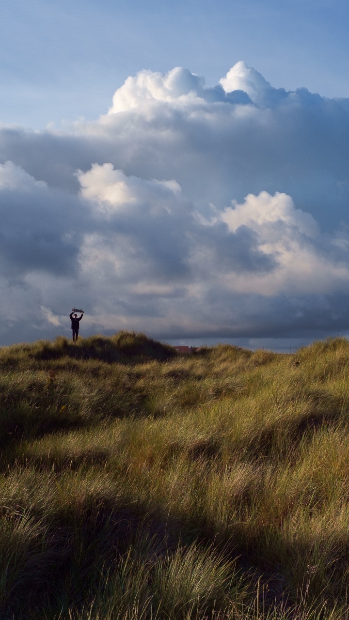 Обои равнина, сумрак, холм, степ, сенокосное угодье в разрешении 720x1280