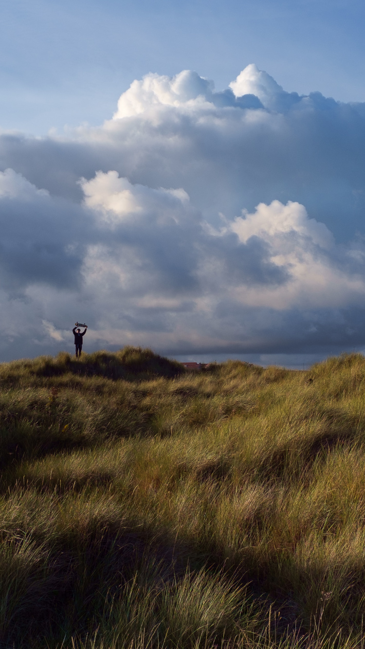 Обои равнина, сумрак, холм, степ, сенокосное угодье в разрешении 750x1334