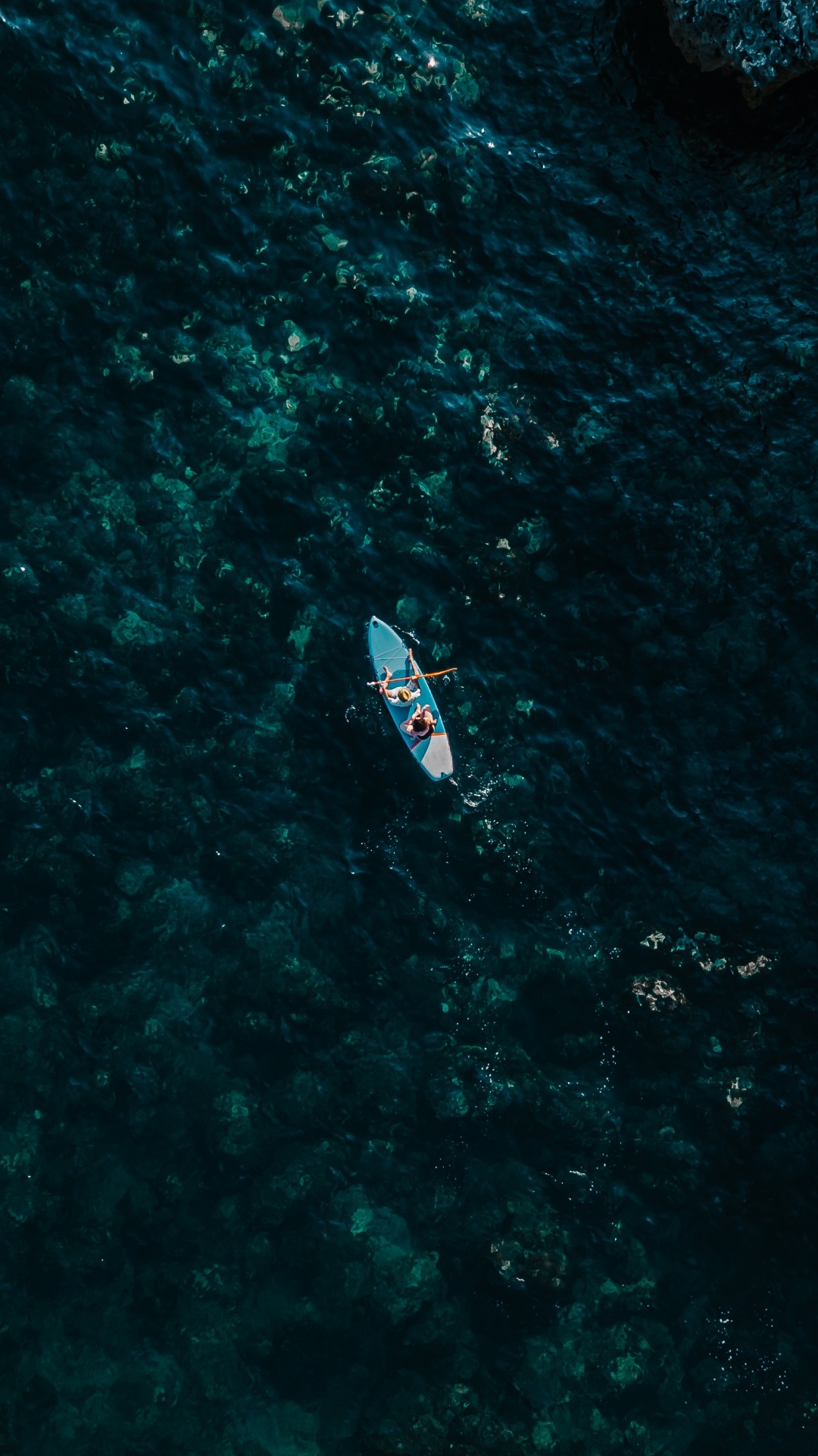 Обои вода, морская биология, наука, судно, лодка в разрешении 1080x1920