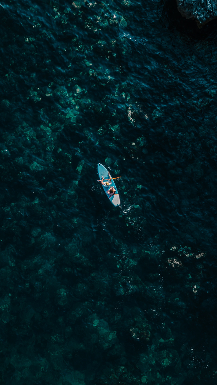 Обои вода, морская биология, наука, судно, лодка в разрешении 750x1334