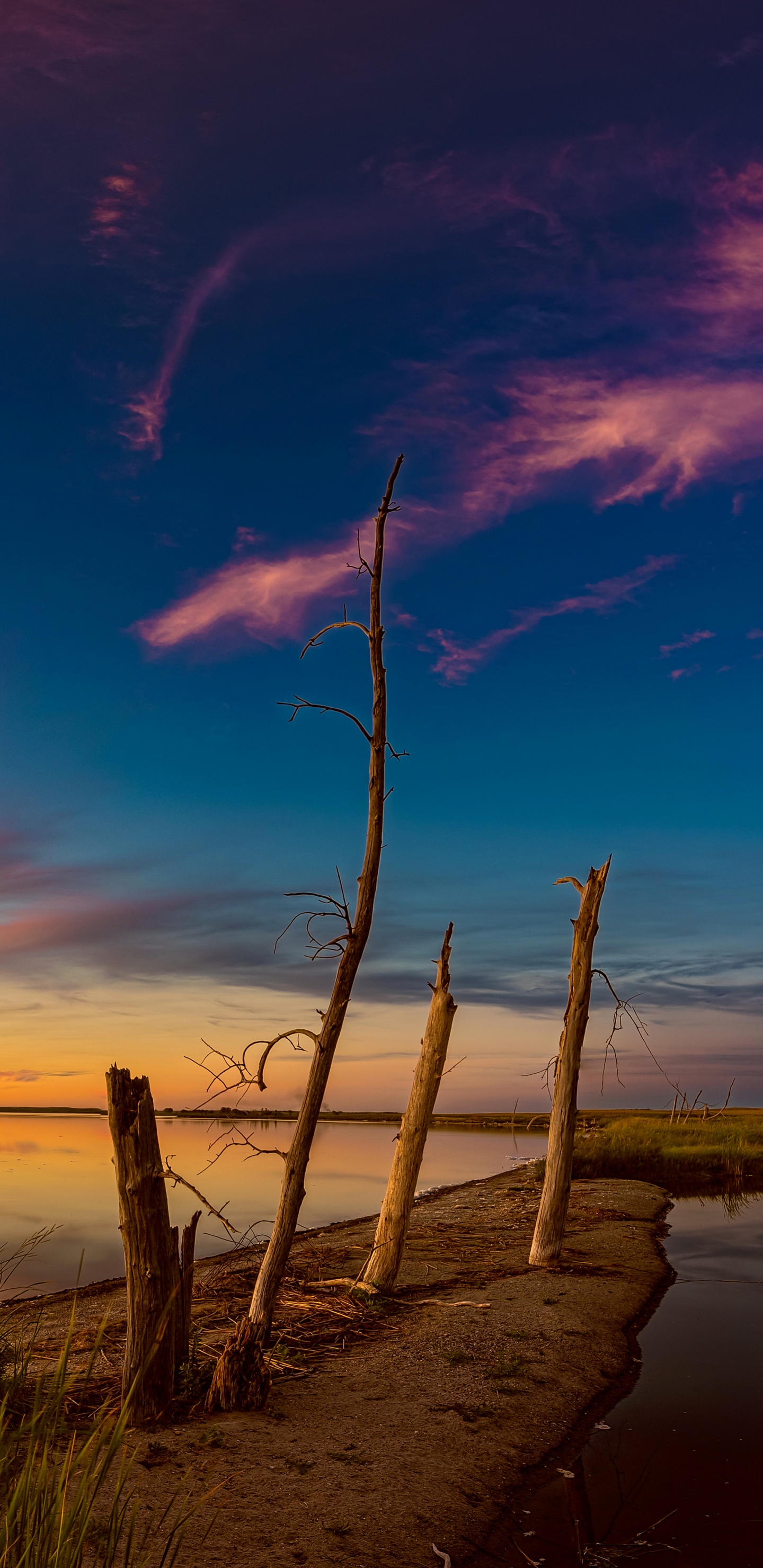 Обои восход солнца, природа, горизонт, облако, закат в разрешении 1440x2960