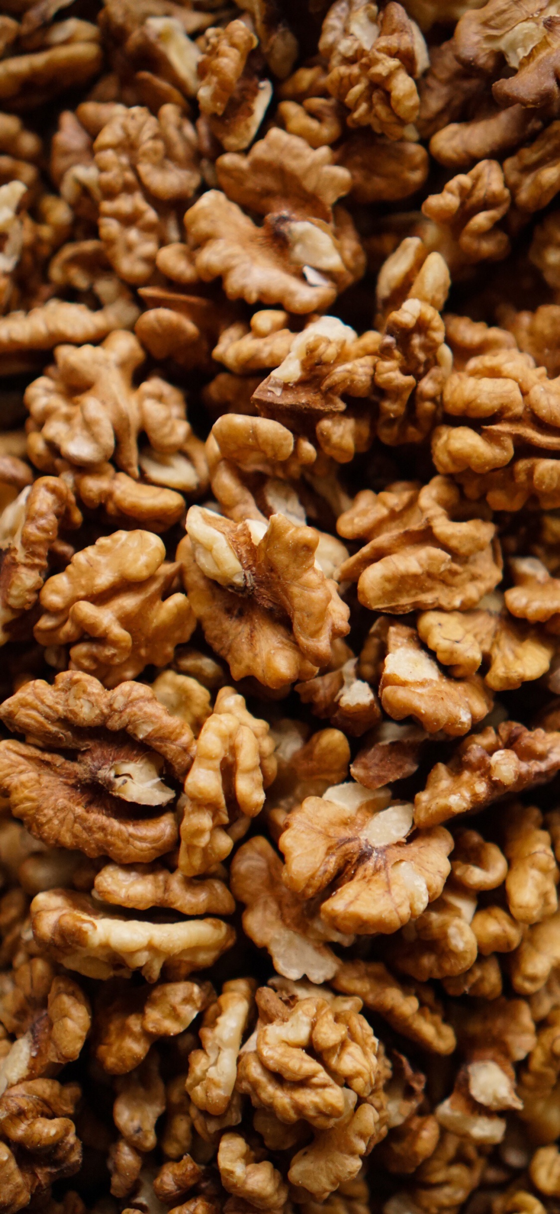 Обои грецкий орех, пища, растение, ингредиент, природные продукты в разрешении 1125x2436