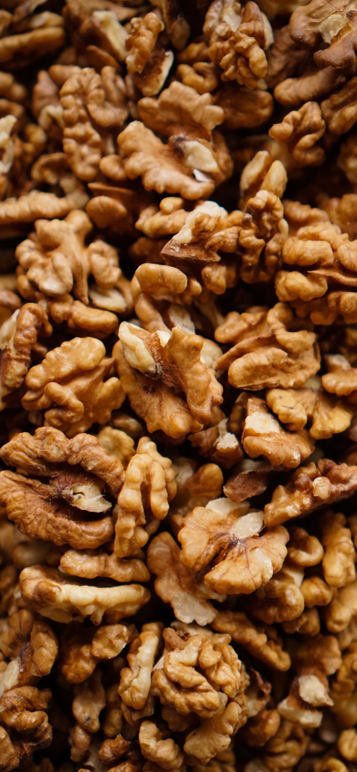 Обои грецкий орех, пища, растение, ингредиент, природные продукты в разрешении 1242x2688