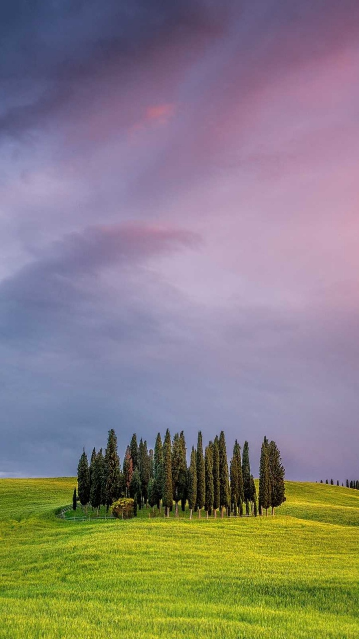 Обои Тоскана, сенокосное угодье, природа, облако, Валь дорча в разрешении 720x1280