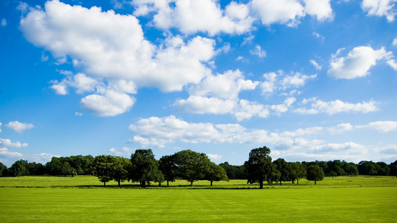 Обои облако, сенокосное угодье, природа, выгон, дневное время в разрешении 1280x720