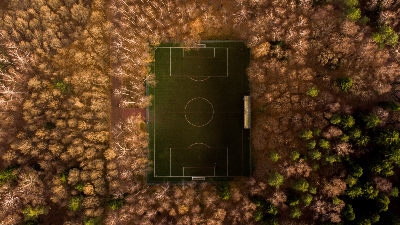 Обои зеленый, стена, дерево, лист, растение в разрешении 1366x768