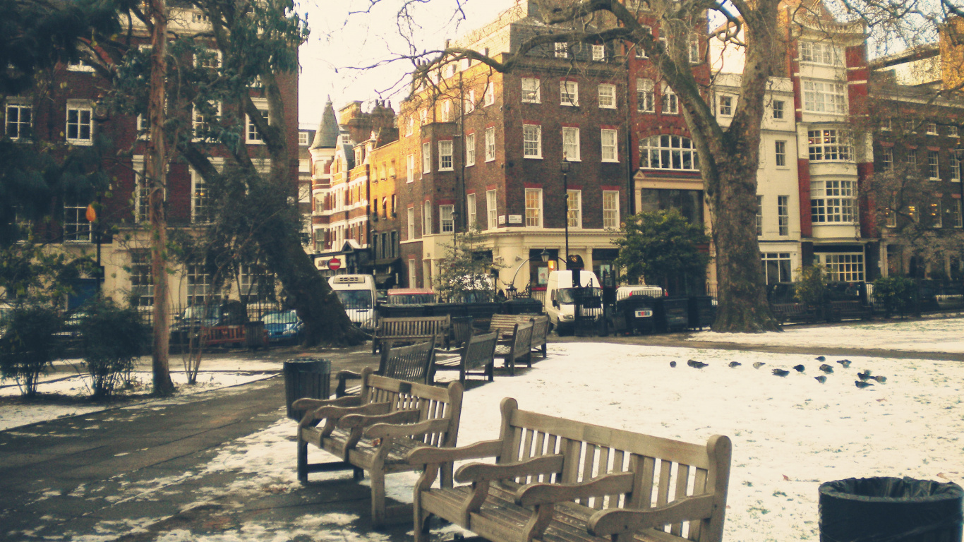 Обои дерево, городок, соседство, город, здание в разрешении 1366x768