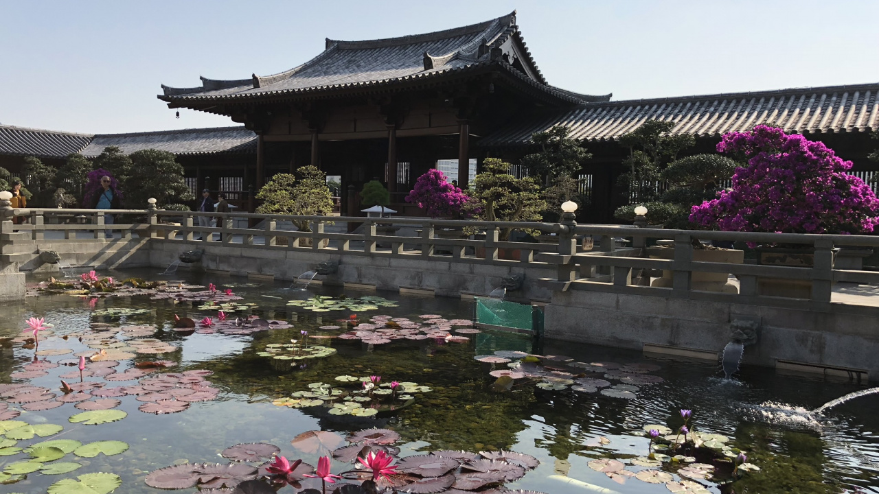 Обои Гонконг, китайская архитектура, туризм, вода, достопримечательность в разрешении 1280x720