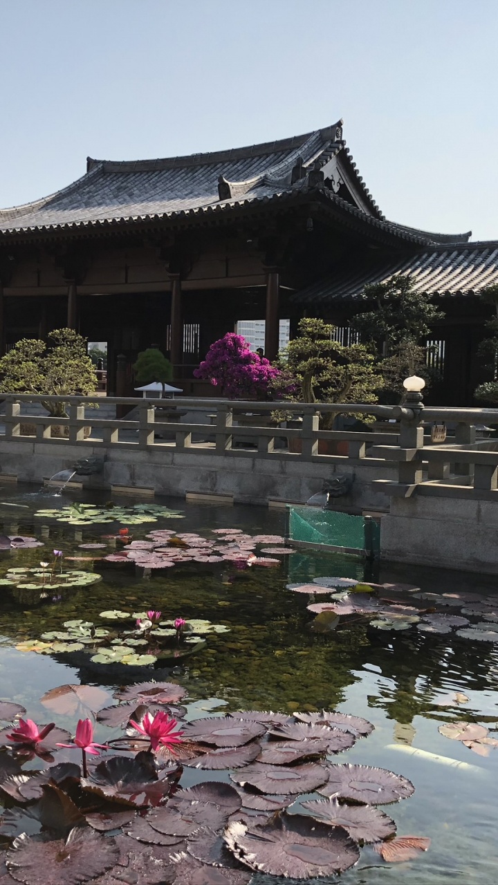 Обои Гонконг, китайская архитектура, туризм, вода, достопримечательность в разрешении 720x1280