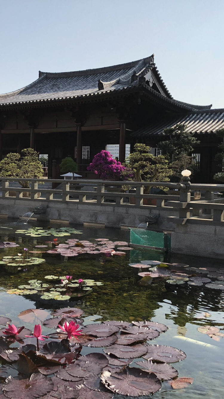 Обои Гонконг, китайская архитектура, туризм, вода, достопримечательность в разрешении 750x1334