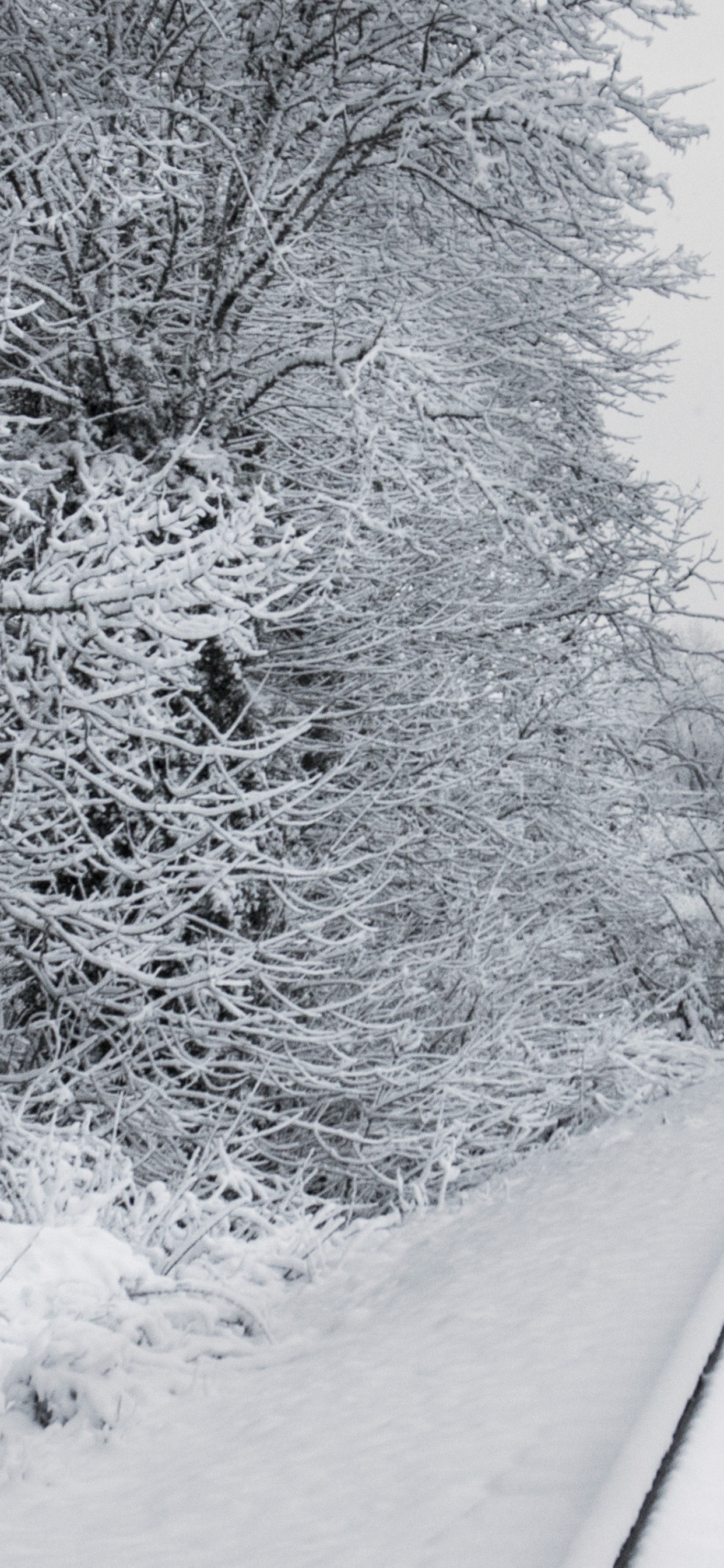 Обои железнодорожные пути в снегу, поезд, железнодорожный транспорт, снег, трек в разрешении 1242x2688