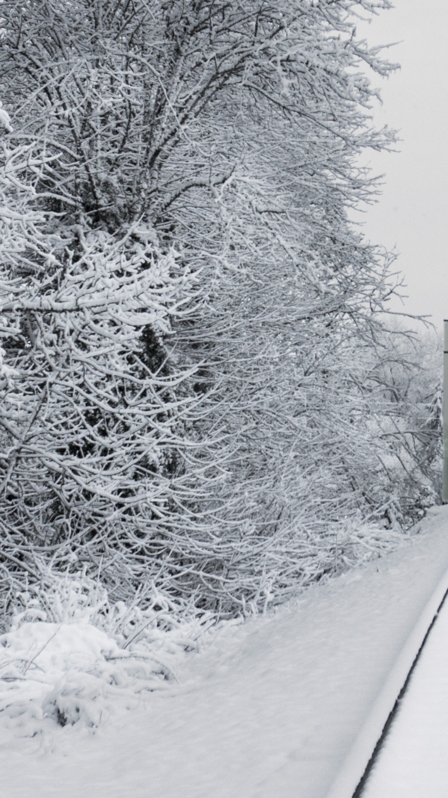 Обои железнодорожные пути в снегу, поезд, железнодорожный транспорт, снег, трек в разрешении 1440x2560