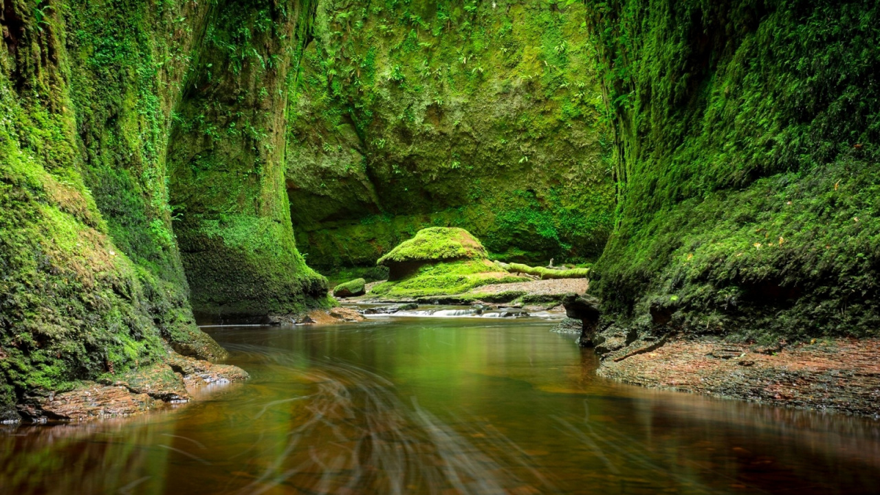 Обои природа, вода, водоток, природный заповедник, растительность в разрешении 1280x720