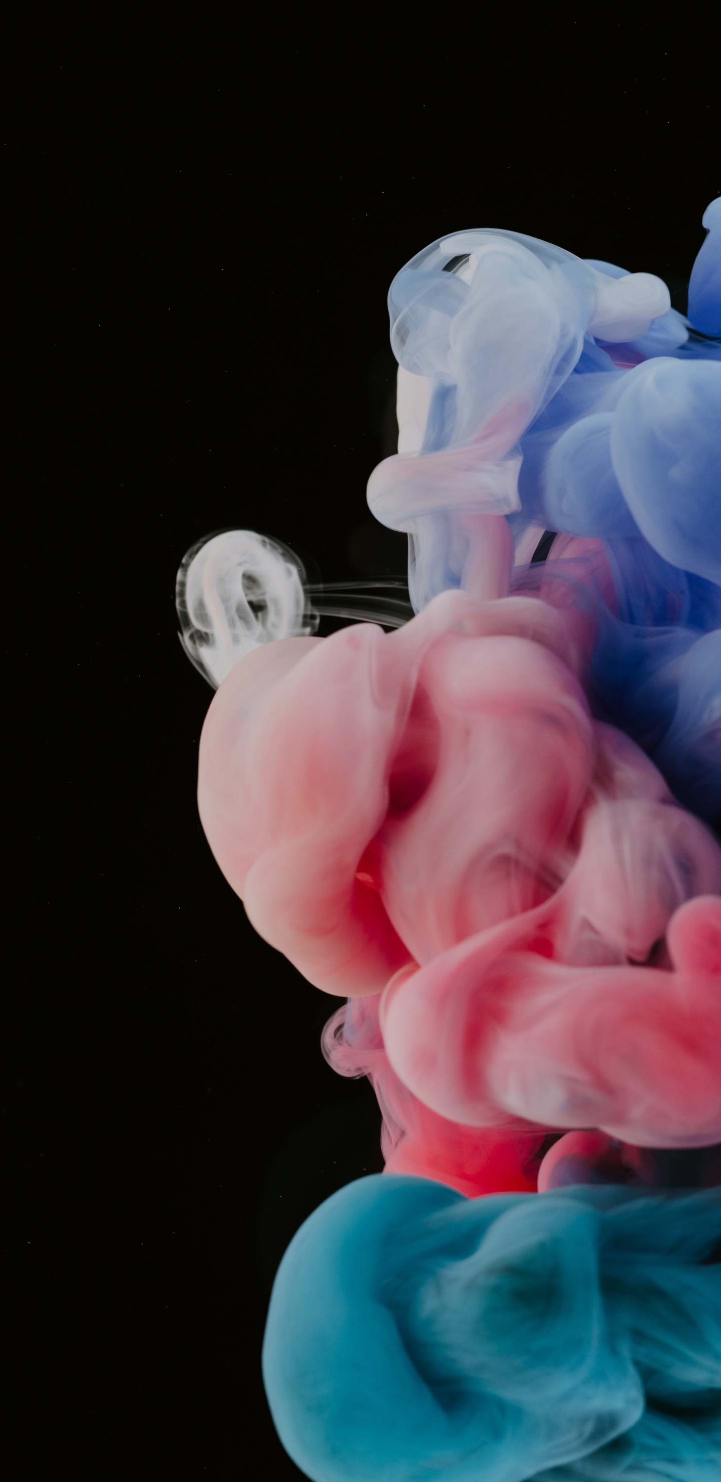 Обои яблоко, ios, торт украшение, облако, обледенение в разрешении 1440x2960