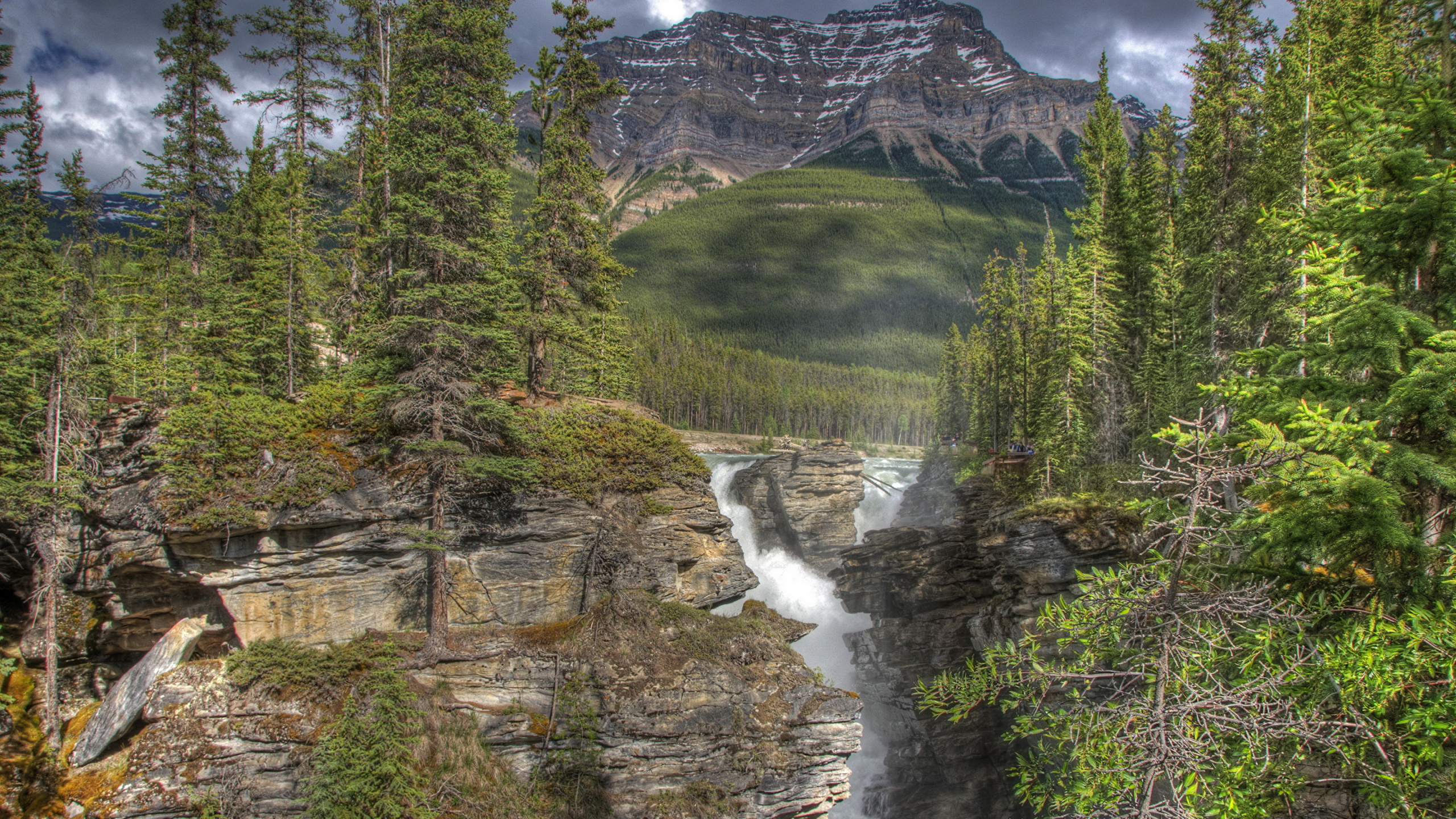 Обои Атабаска-Фоллс, природа, вода, дикая местность, природный заповедник в разрешении 2560x1440