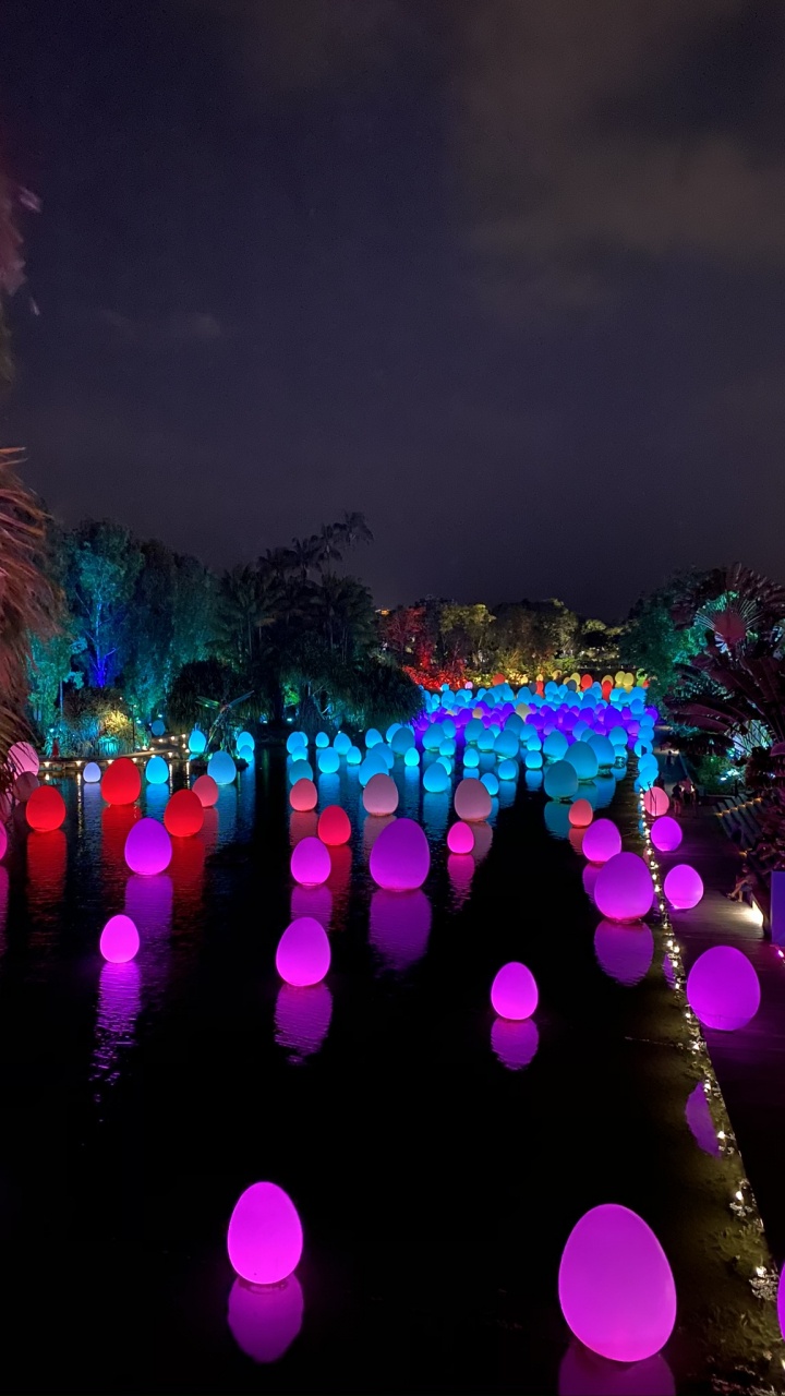 Обои свет, физика, статистика, наука, пурпур в разрешении 720x1280