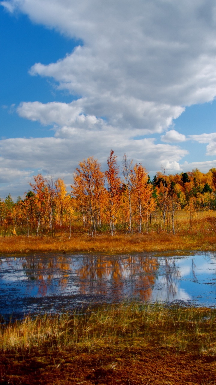 Обои осень, отражение, природа, вода, облако в разрешении 720x1280