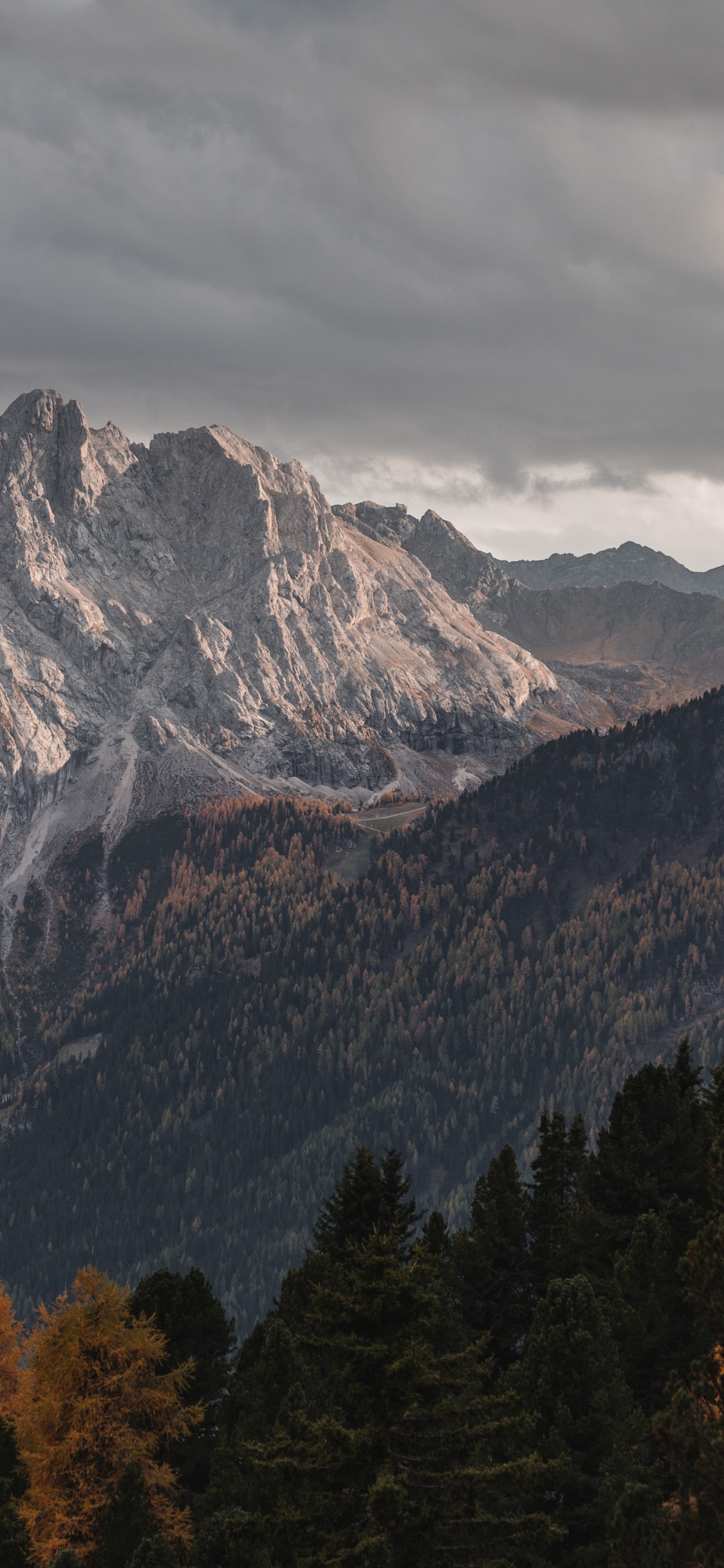 Обои Зорин ос, Операционная система, linux, планшет, облако в разрешении 1125x2436