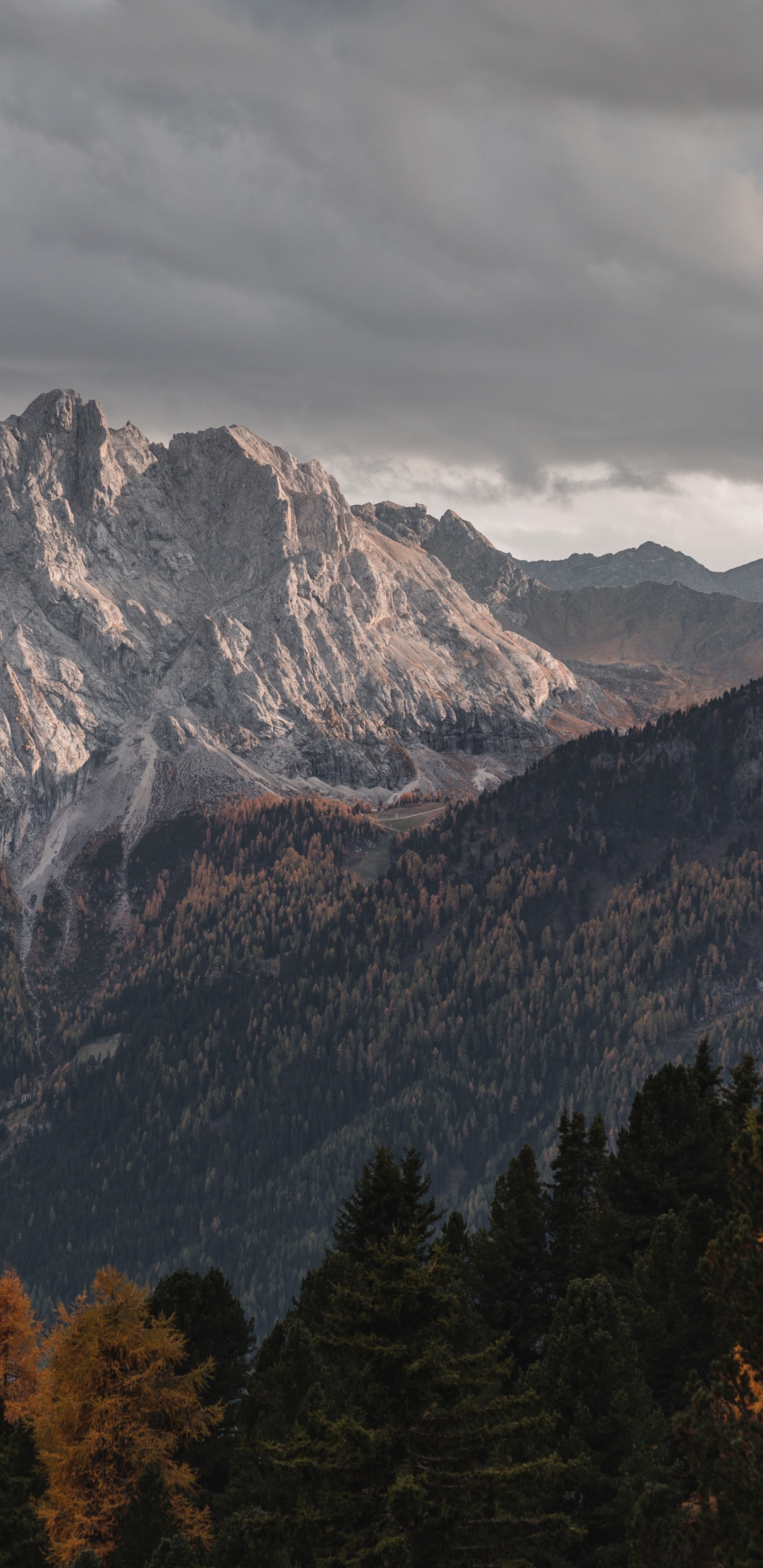 Обои Зорин ос, Операционная система, linux, планшет, облако в разрешении 1440x2960