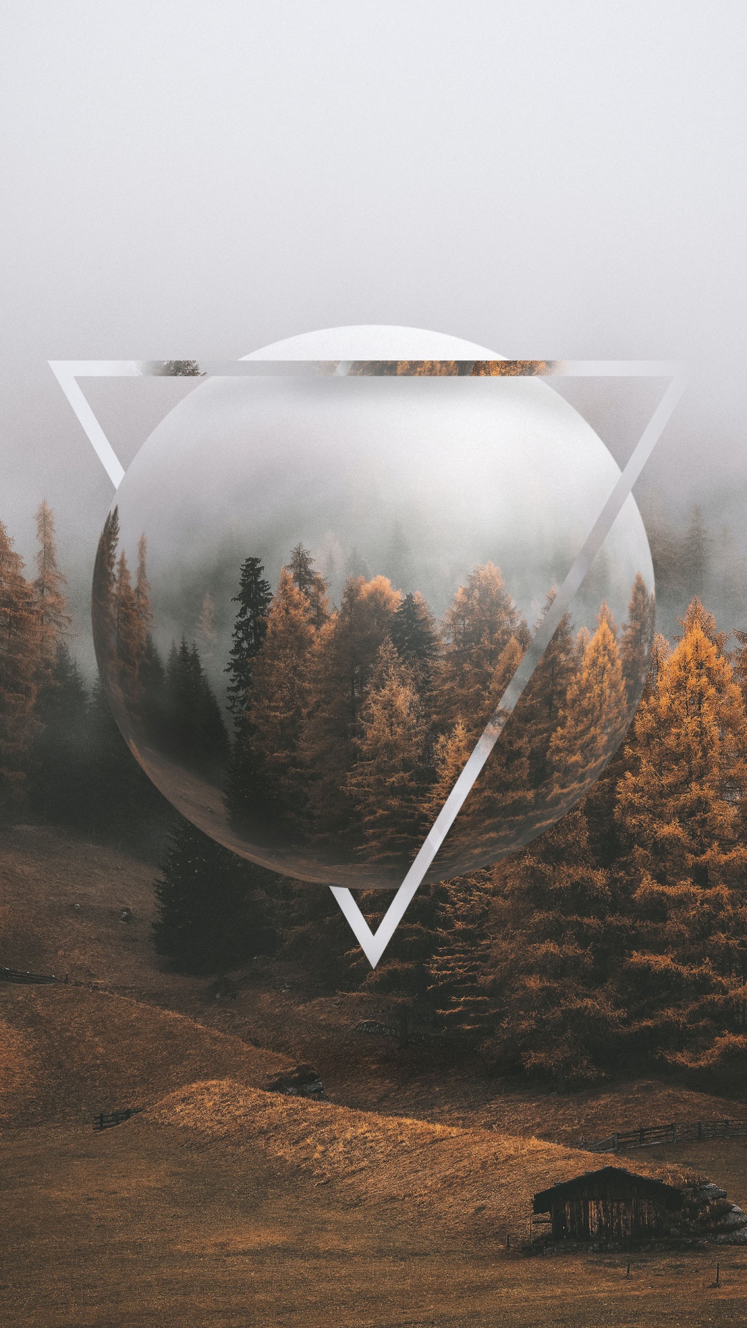 Обои осень, растение, окружающая среда, ветвь, природный ландшафт в разрешении 1080x1920